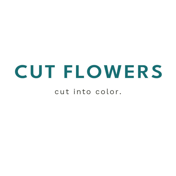 Cut Flowers — cut into color.
