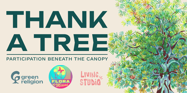 THANK A TREE / Participation Beneath the Canopy