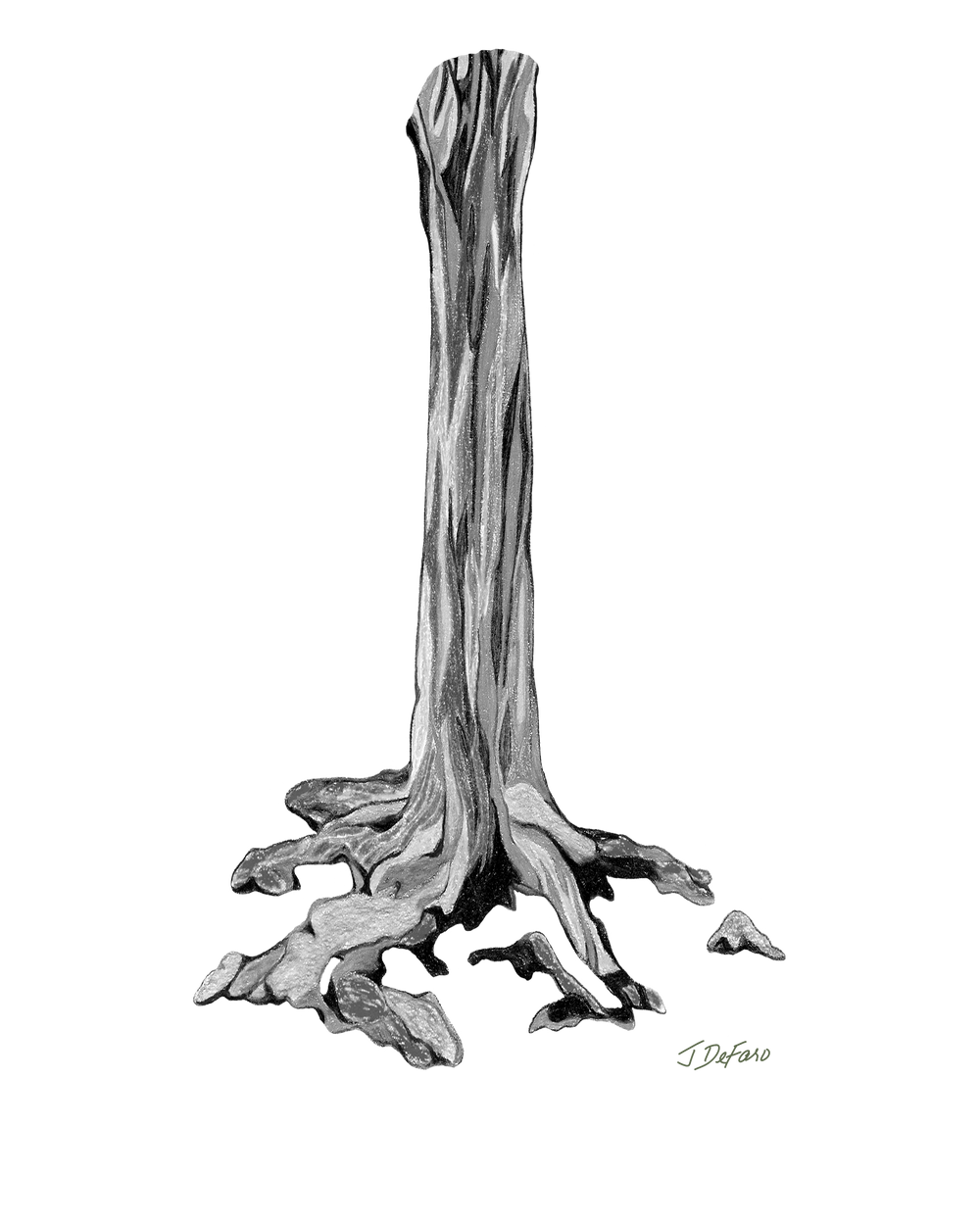 GREEN RELIGION · TRUE TREES · ROOT FLARE · “Bird Lover Charcoal” · Men’s Cotton T-Shirt