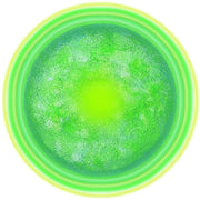 GREEN RELIGION · Green Sun · Women’s Micro-Rib Tank Top