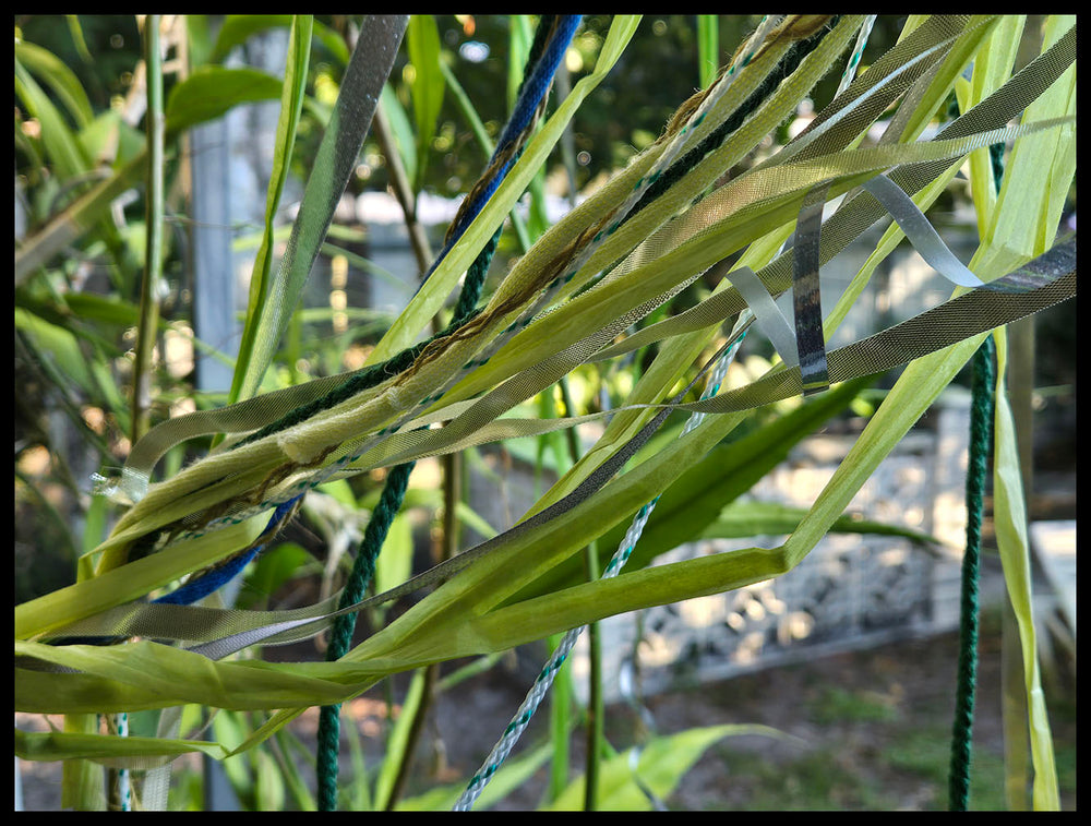 RIBBON GARDEN: Green Currents | Open Edition 24 by 32 inch Canvas Photograph by John DeFaro
