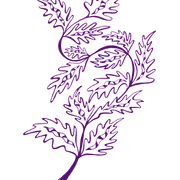 GREEN RELIGION · TRUE REACH · “Teaser Branch - Plum” · Unisex Cotton Sweatshirt