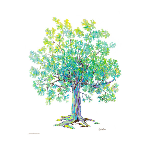 TRUE TREES: Bird Lover | Canvas Art Edition by John DeFaro