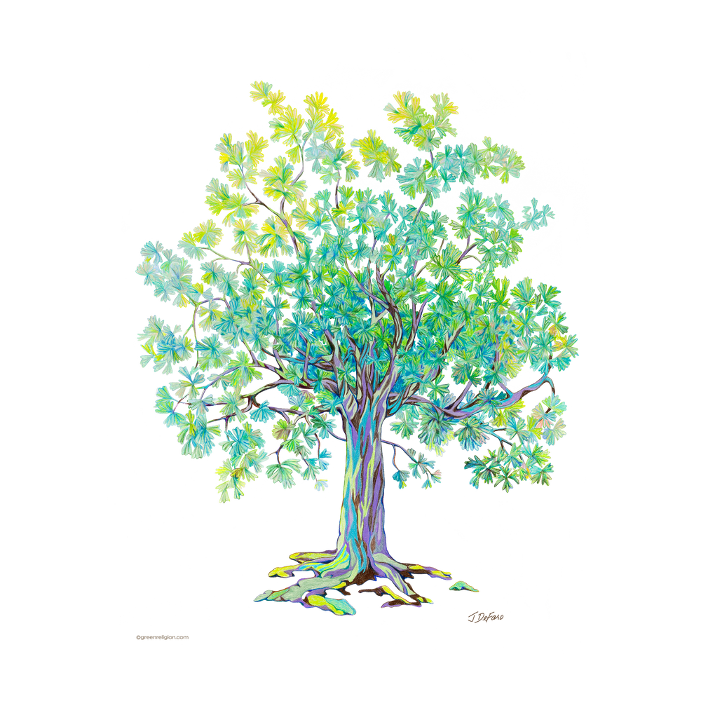 TRUE TREES: Bird Lover | Canvas Art Edition by John DeFaro
