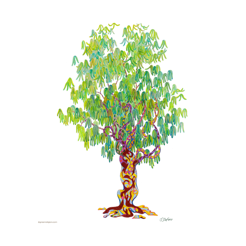 TRUE TREES: Falling Light | Canvas Art Edition by John DeFaro