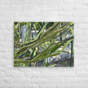 RIBBON GARDEN: Green Currents | Open Edition Canvas Photograph by John DeFaro