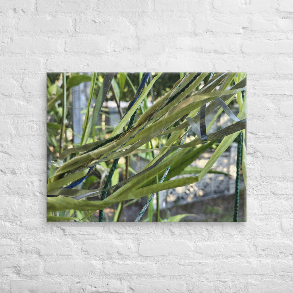 RIBBON GARDEN: Green Currents | Open Edition Canvas Photograph by John DeFaro