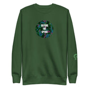 Green Sweatshirt with text BEFORE WE SPOKE on green background
