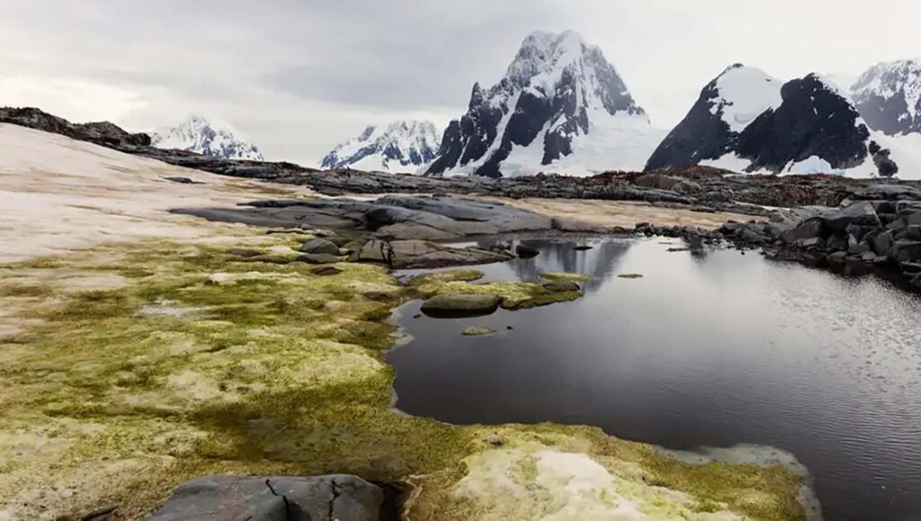 Green snowscape temperature rise. Courtesy of Bildagentur online.