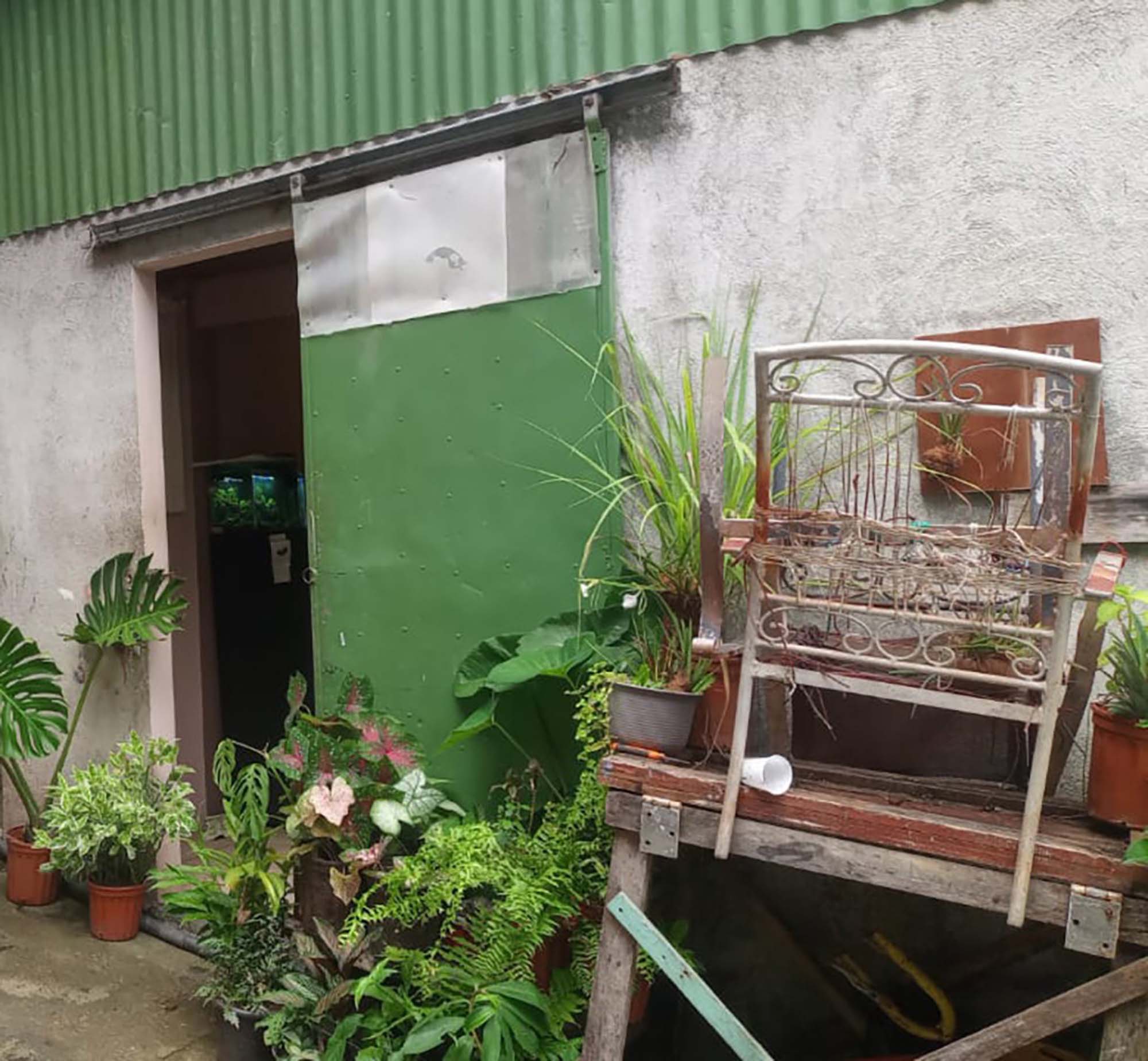 Ismael's garden house apartment with his plants, Manuel Antonio, Costa Rica, Summer 2024.