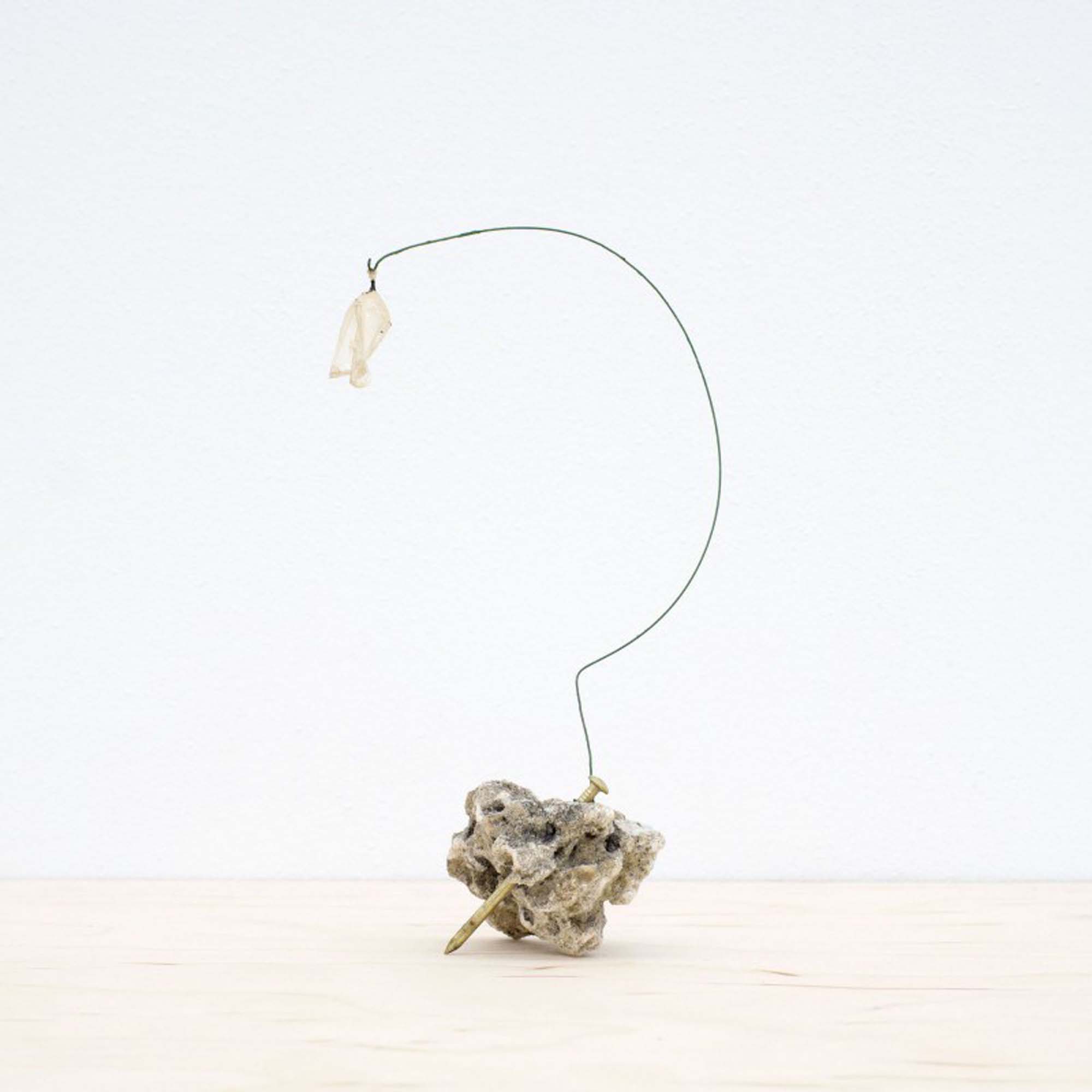 Franky Cruz Sistema Pupation Transfer No. 1 2016 Rock nail wire pupation transfer 7x4 HR courtesy of the artist