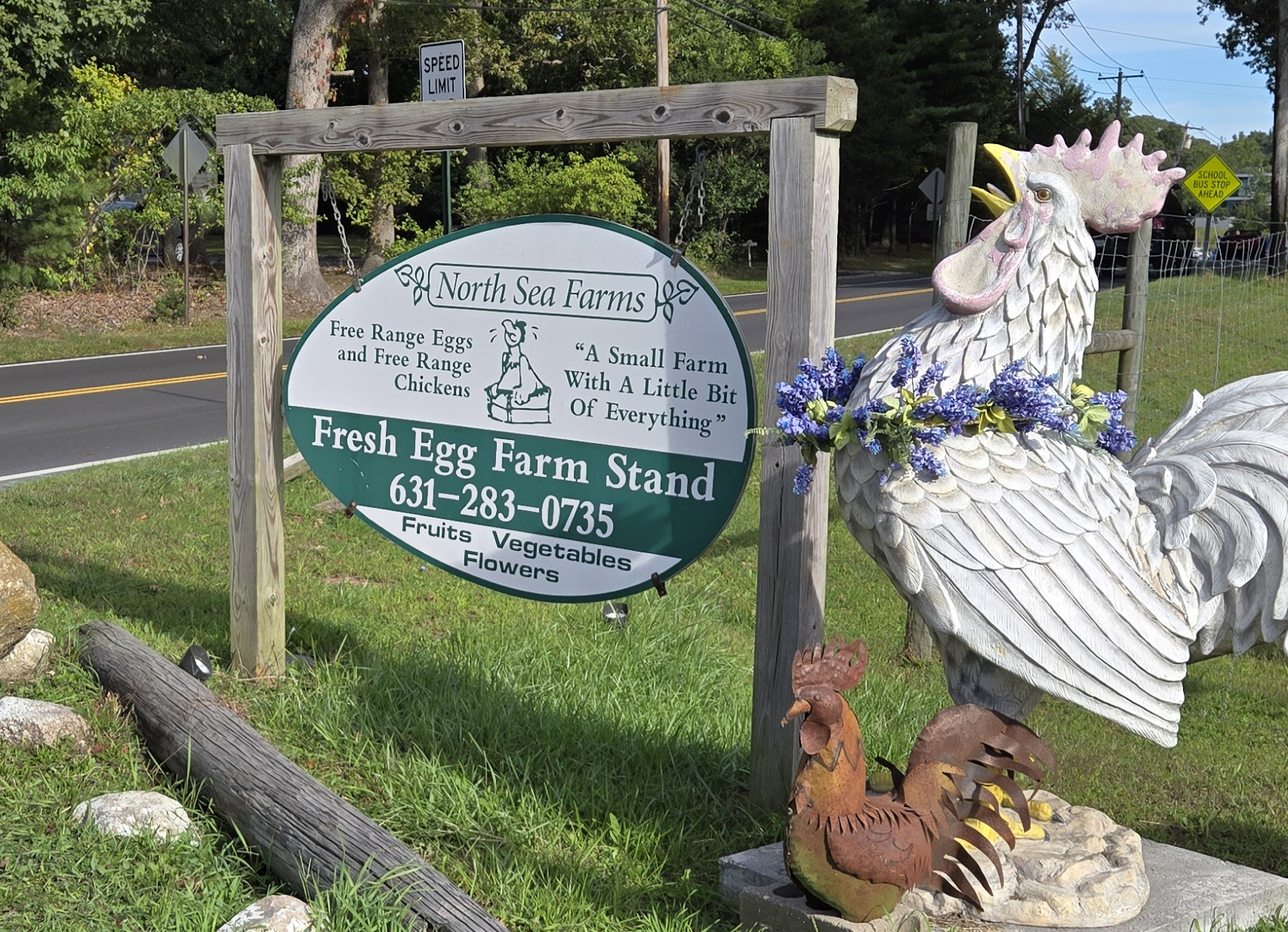 North Sea Farms North Sea Southampton New York photo John DeFaro